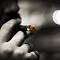 lighting one up in the night